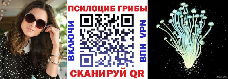 Галлюциногенные грибы Psilocybine cubensis  Купить где  Судогда 